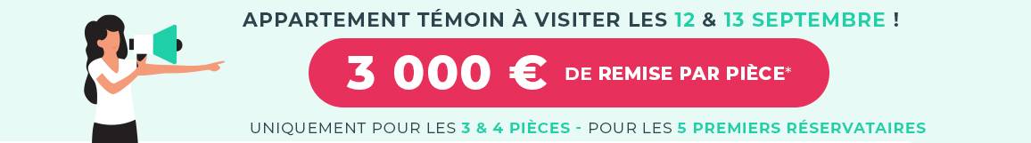 Appartement temoin a visiter les 12 et 13 septembre